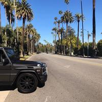 Отзыв от Василий - DTV виза